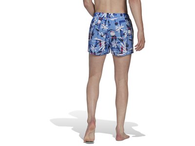 ADIDAS Herren Shorts FLO CLX VSL Blau