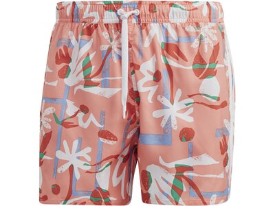 ADIDAS Herren Shorts FLO CLX VSL Pink