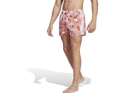 ADIDAS Herren Shorts FLO CLX VSL Pink