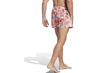 ADIDAS Herren Shorts FLO CLX VSL Pink