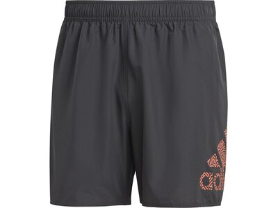 ADIDAS Herren Shorts BOS CLX SL Grau