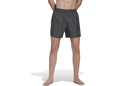 ADIDAS Herren Shorts BOS CLX SL Grau