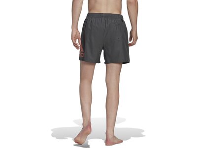 ADIDAS Herren Shorts BOS CLX SL Grau