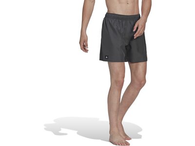 ADIDAS Herren Shorts BOS CLX SL Grau