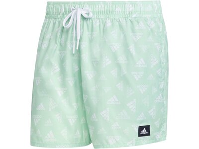 ADIDAS Herren Shorts BOS AOP CLX VSL Grau