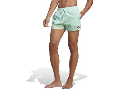 ADIDAS Herren Shorts BOS AOP CLX VSL Grau