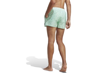 ADIDAS Herren Shorts BOS AOP CLX VSL Grau