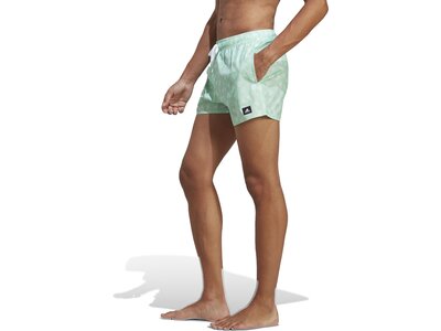 ADIDAS Herren Shorts BOS AOP CLX VSL Grau