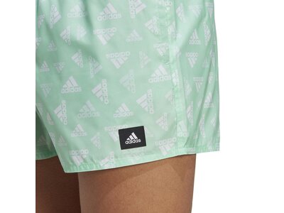 ADIDAS Herren Shorts BOS AOP CLX VSL Grau