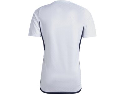 ADIDAS Herren Trikot Tiro 23 Competition Match Pink