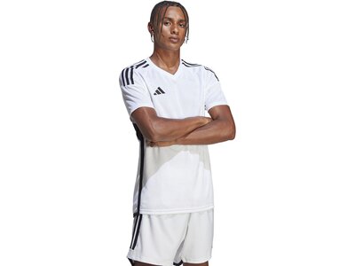 ADIDAS Herren Trikot Tiro 23 Competition Match Pink