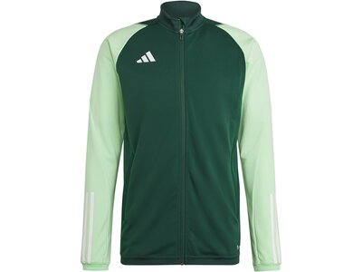 ADIDAS Herren Jacke Tiro 23 Competition (normal & lang) Grau