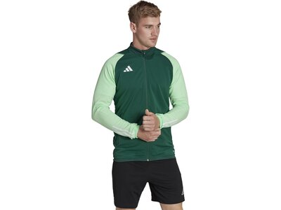 ADIDAS Herren Jacke Tiro 23 Competition (normal & lang) Grau