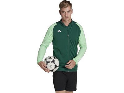 ADIDAS Herren Jacke Tiro 23 Competition (normal & lang) Grau