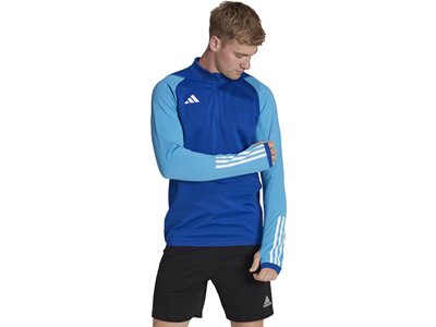 ADIDAS Herren Jacke Tiro 23 Competition Training (normal & lang) Blau