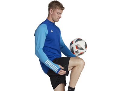 ADIDAS Herren Jacke Tiro 23 Competition Training (normal & lang) Blau
