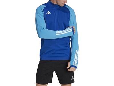 ADIDAS Herren Jacke Tiro 23 Competition Training (normal & lang) Blau