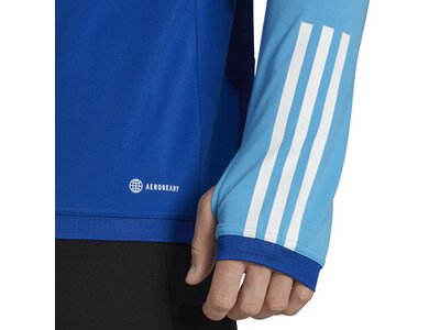 ADIDAS Herren Jacke Tiro 23 Competition Training (normal & lang) Blau