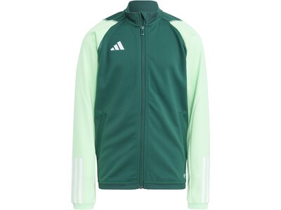 ADIDAS Kinder Jacke Tiro 23 Competition Training Grün