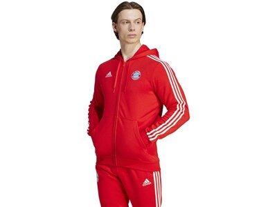 ADIDAS Herren Fanjacke FC Bayern München DNA Rot