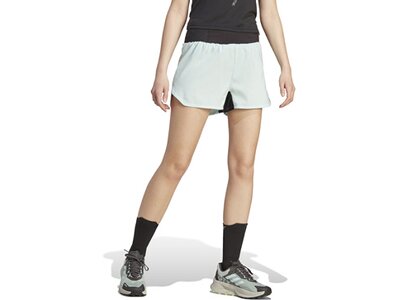 ADIDAS Damen Shorts TERREX Agravic Trail Running (Länge 3 Zoll) Grau