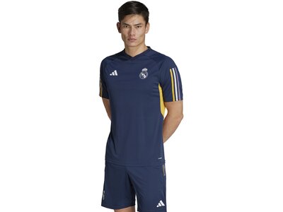 ADIDAS Herren Trikot Real Madrid Tiro 23 (normal & lang) Grau