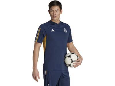 ADIDAS Herren Trikot Real Madrid Tiro 23 (normal & lang) Grau