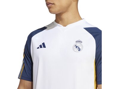 ADIDAS Herren Trikot Real Madrid Tiro 23 (normal & lang) Weiß