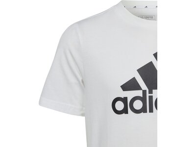 ADIDAS Kinder Shirt Essentials Big Logo Cotton Grau