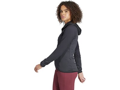 ADIDAS Damen Jacke TERREX Techrock Wind Grau