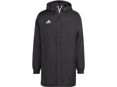 ADIDAS Herren Jacke Entrada 22 Stadium (normal & lang) Grau