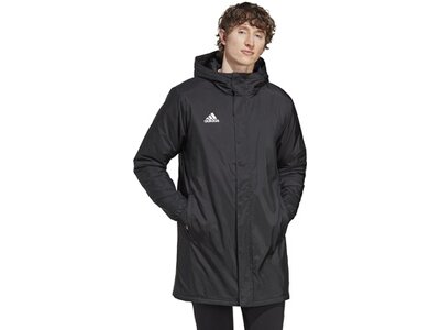 ADIDAS Herren Jacke Entrada 22 Stadium (normal & lang) Grau