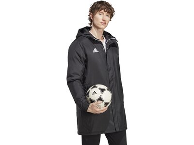 ADIDAS Herren Jacke Entrada 22 Stadium (normal & lang) Grau