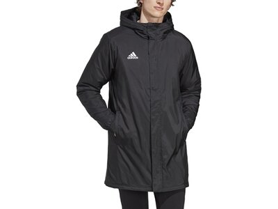 ADIDAS Herren Jacke Entrada 22 Stadium (normal & lang) Grau