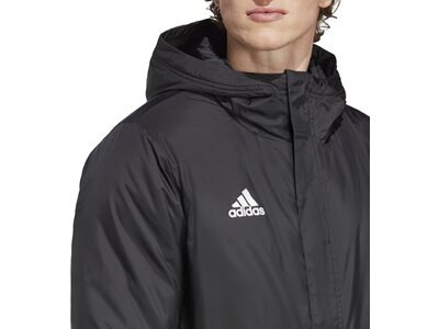 ADIDAS Herren Jacke Entrada 22 Stadium (normal & lang) Grau