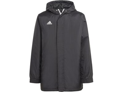 ADIDAS Kinder Jacke Entrada 22 Stadium Grau