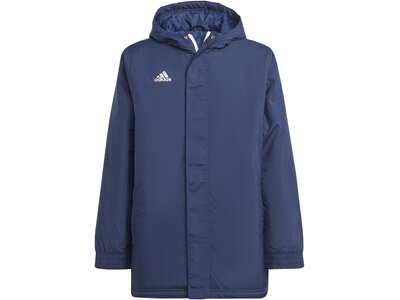 ADIDAS Kinder Jacke Entrada 22 Stadium Blau