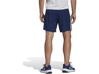 ADIDAS Herren Shorts Train Essentials Piqué 3-Streifen Blau