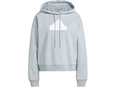 ADIDAS Damen Kapuzensweat W FI BOS HOODIE Grau