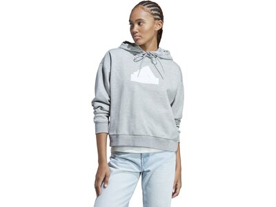 ADIDAS Damen Kapuzensweat W FI BOS HOODIE Grau