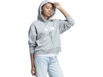 ADIDAS Damen Kapuzensweat W FI BOS HOODIE Grau