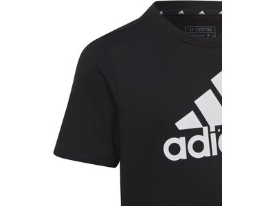 ADIDAS Kinder Shirt Essentials Big Logo Cotton Schwarz