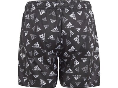 ADIDAS Kinder Badeshorts Logo Print CLX Grau