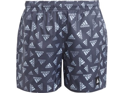 ADIDAS Kinder Badeshorts BOS AOP SWIM SH Grau