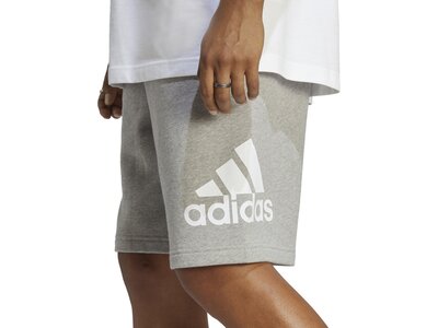 ADIDAS Herren Shorts Essentials Big Logo French Terry (normal & lang) Grau