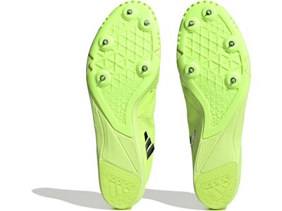ADIDAS Herren Leichtathletikschuhe DistanceStar Spike- Grün