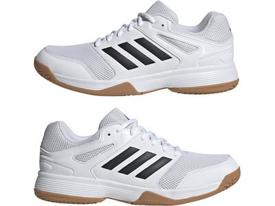 ADIDAS Herren Volleyballschuhe Speedcourt M Grau