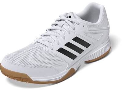 ADIDAS Herren Volleyballschuhe Speedcourt M Grau