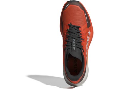 ADIDAS Herren Trailrunningschuhe Terrex Agravic 3 Braun