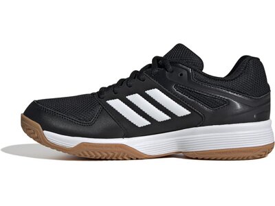 ADIDAS Damen Volleyballschuhe Speedcourt IN Grau